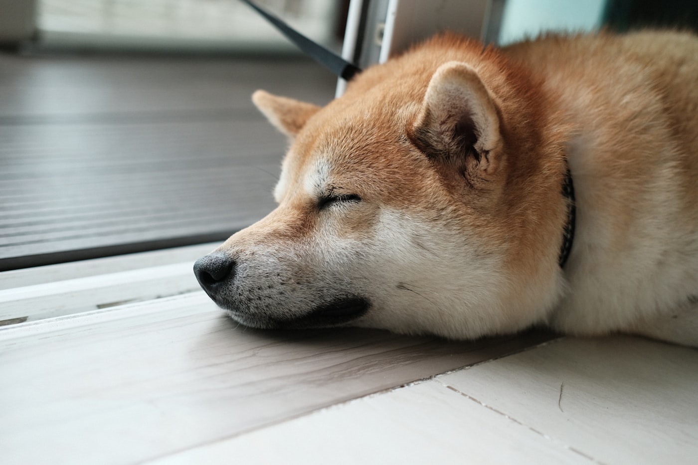 もち